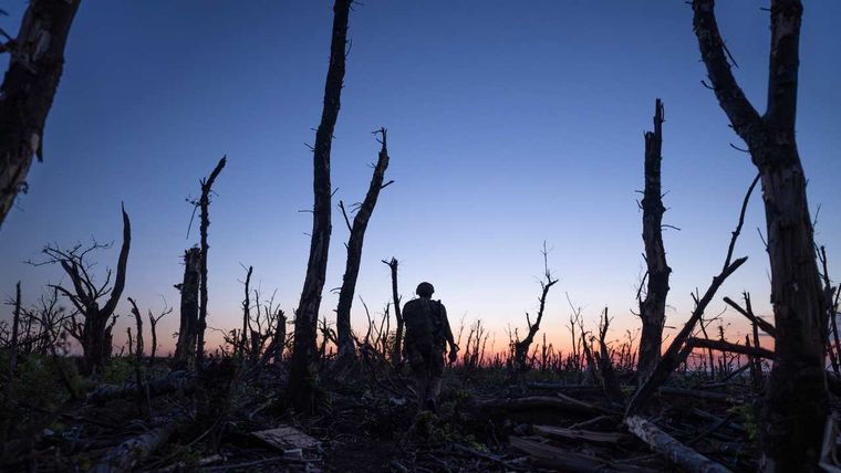 Silhouette of soldier and tree stumps