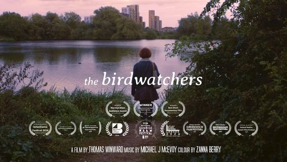 the birdwatchers