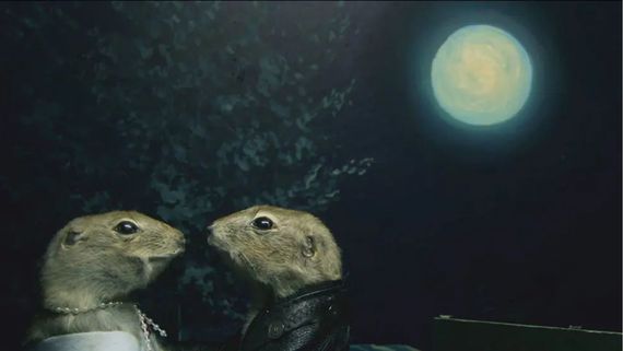 two gophers with the moon behind them