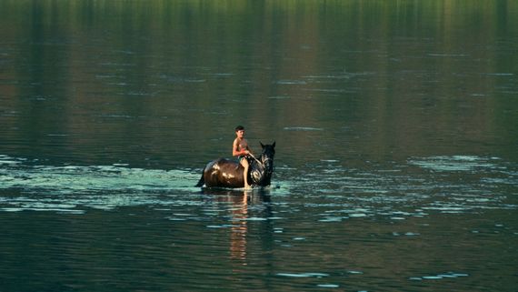 Child on horse in middle of deep water